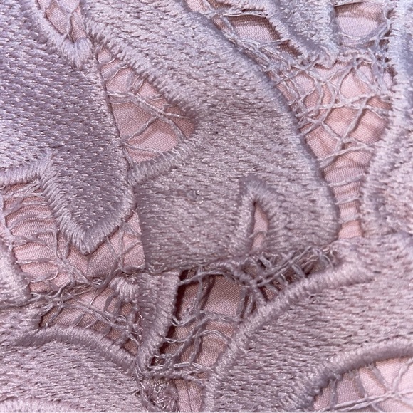 NWT Bardot Lina Lace Dress Pink Rose - Picture 16 of 16
